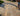 Barre-Gray-04-Luxury-Barre-Gray-Stone-Floors-Barre-Gray-Flooring-Installation-Sustainable-Barre-Gray-Stone-Options-High-Quality-Barre-Gray-Floor-Finishes-Limestone-Flooring-Architectural-Stone-Archstone-Decor-Canada-Toronto-Ontario