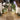 BarreMontpelierdesign-BarreMontpelierinstallation-AntiqueBarreMontpelierstones-CustomBarreMontpelierstonefeatures-BarreMontpeliersculptures-Canada-Ontario